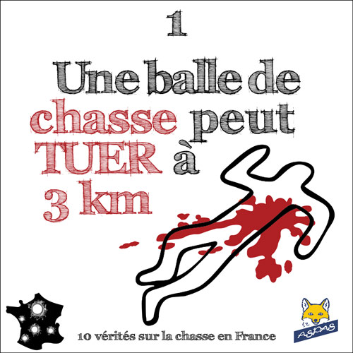 Lire la suite à propos de l’article Vérité sur la chasse en France 1/10 : Une balle de chasse peut tuer à 3 km