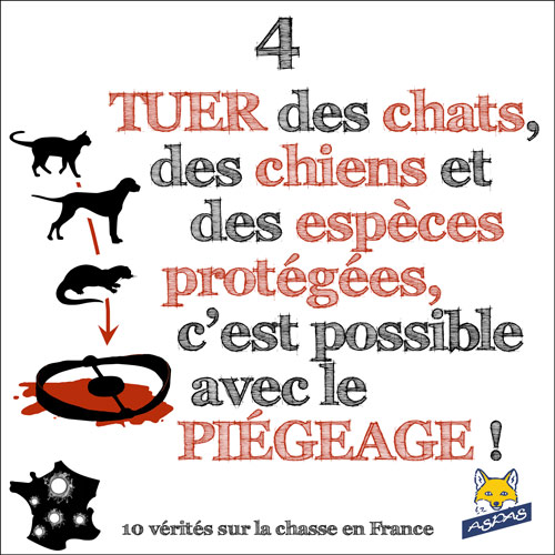 Lire la suite à propos de l’article Vérité sur la chasse en France 4/10 : Tuer des chats, des chiens et des animaux protégées, c’est possible avec le piégeage !
