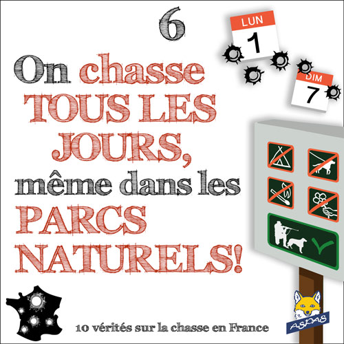 Lire la suite à propos de l’article Vérité sur la chasse en France 6/10 : on chasse tous les jours, même dans les parcs naturels !
